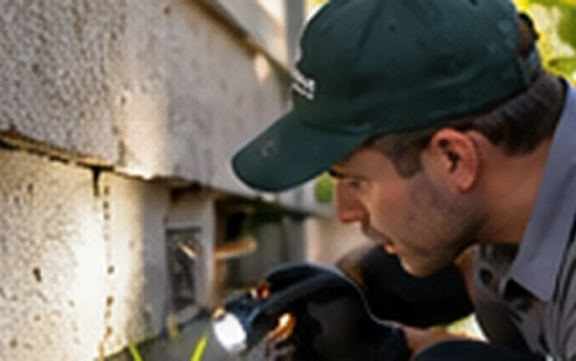 Person inspecting a house foundation with a flashlight